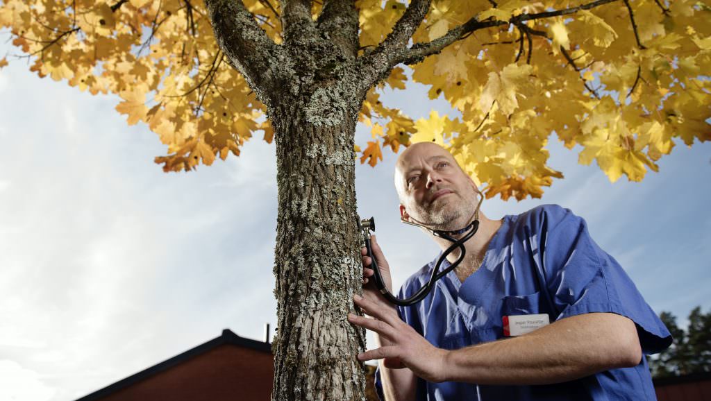 Distriktsläkaren Jesper