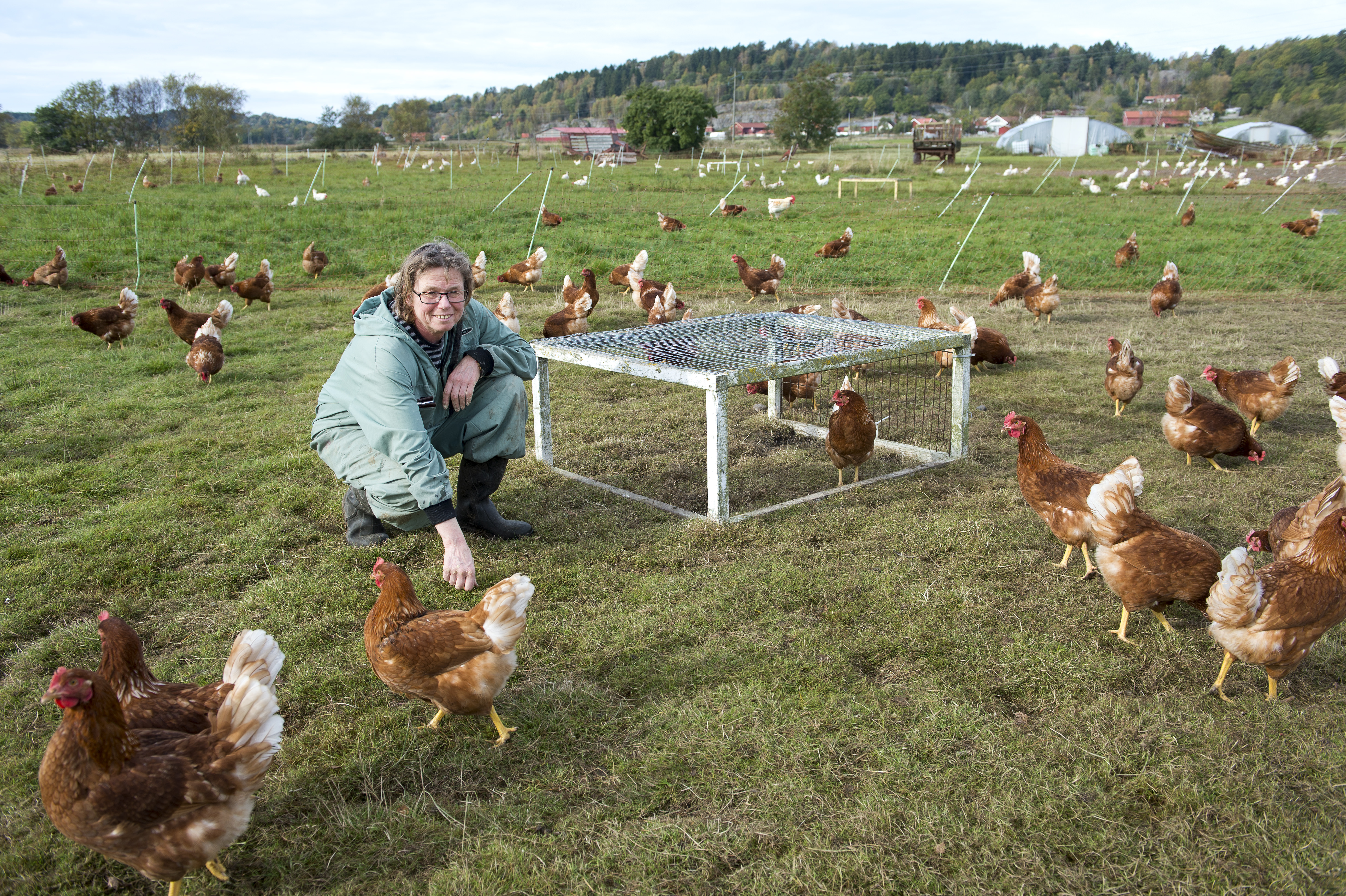 Maria Karlsson sitter ute på gräset bland sina 2000 höns