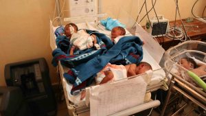 Bebisar i kuvös. Foto: Andreas Malmberg