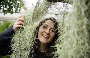 Det har hänt att pedagogen Helen Ekvall får frågan om växterna lever. "Javisst, de är levande varelser designade och anpassade för att existera på det bästa sättet de kan på just de platser där de lever." Här inramad av så kallad "spansk mossa", ananasväxten Tillandsia.Foto: Anna Rehnberg