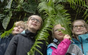 Första besöket på Botaniska för Marcus Karlsson, Elsa Hellstedt, Elin Henriksson och Filippa Persson från Kungälv. Nästa gång vill jag se de köttätande växterna också, säger Filippa.Foto: Anna Rehnberg