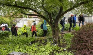En värld att upptäcka. Kennert Danielsson visar fyrorna från Kärnaskolan i Kungälv en del av de gröna skatterna i Botaniska trädgården."Barnen skall bli fascinerade och intresserade av spännande naturupplevelser, det är mitt primära mål, för att locka dem att lära sig mera på egen hand", säger han.Foto: Anna Rehnberg