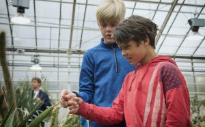 Fingertoppskänsla. Ivar Klingberg och Isak Hallström kan inte låta bli att känna på de vassa taggarna. Foto: Anna Rehnberg