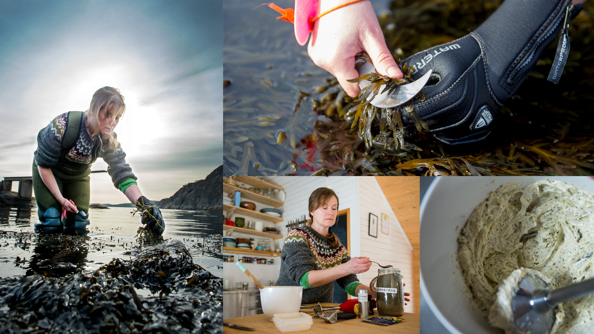 Kvinna plockar och tillagar tång från havet.