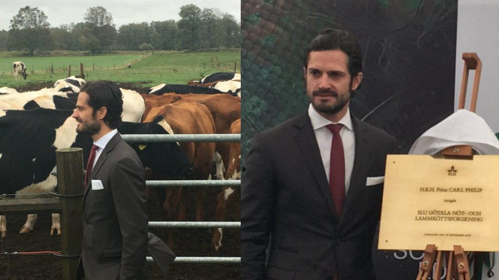 Prins Carl Philip invigde den toppmoderna anläggningen där det bland annat forskas på hållbar produktion av nöt- och lammkött. Foto: Robin Kalmendal