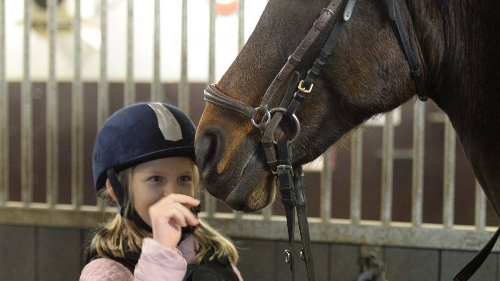 Ellie och hästen Talitha har inga problem med att förstå varandra.Foto: Anna Nyberg