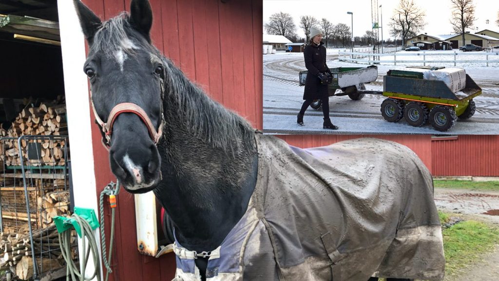 Bild på en lerig häst vid ett stall och Charlotta Liedberg, yrkeslärare på Axevalla Hästcentrum styr hjälpredan som avlastar personal och elever.