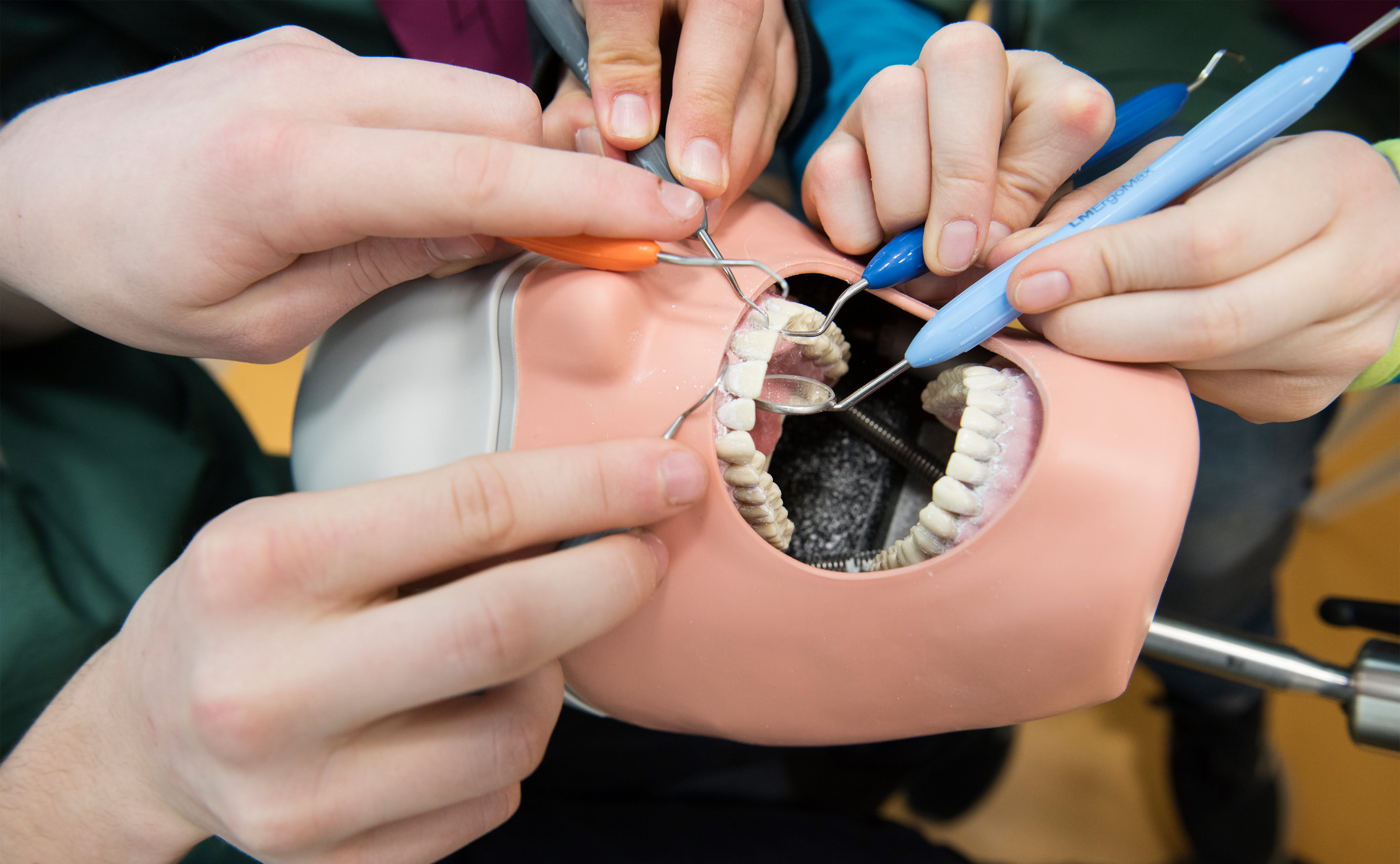 Eleverna skrapar tipp-ex-tandsten från huvudet Oskar i tandläkarrummet. Foto: Anna Rehnberg