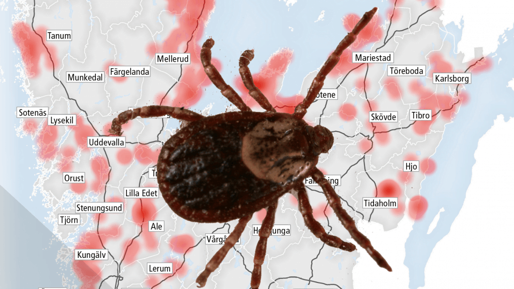 TBE är en virussjukdom som sprids av fästingar.