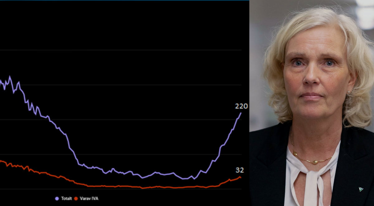 Kurva över patienter som läggs in på sjukhus och hälso- och sjukvårdsdirektör Ann Söderström.