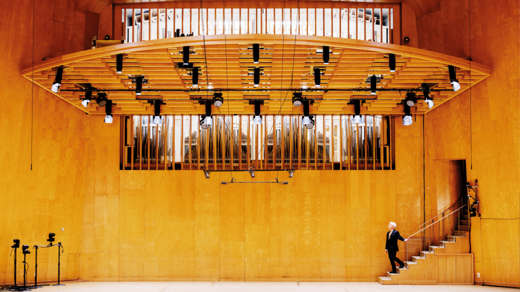 Orgeln uppifrån.