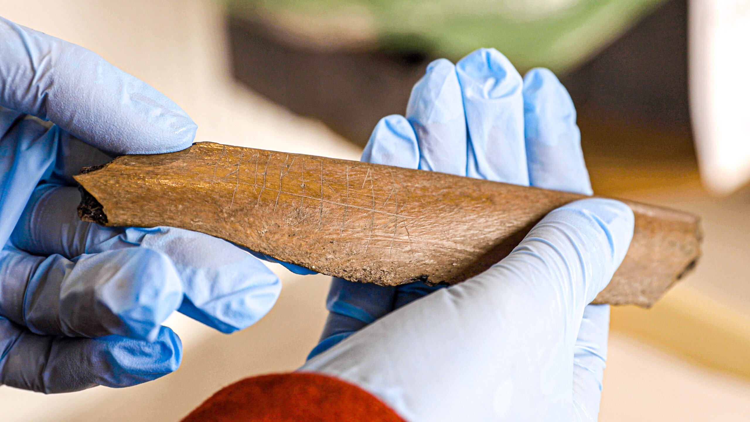 Late genitor Vae står det på runbrevet Marie Schmidt håller upp.