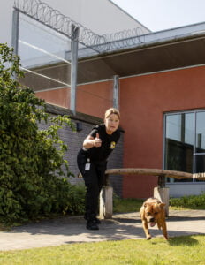 Leta! Ettåriga Doriz får i uppdrag att söka av en innergård. Hon är handplockad för att utbildas till narkotikahund. Som komplement till Bosse och Joy ville säkerhetsavdelningen också ha en mindre hund som lättare kan ta sig in i små utrymmen.