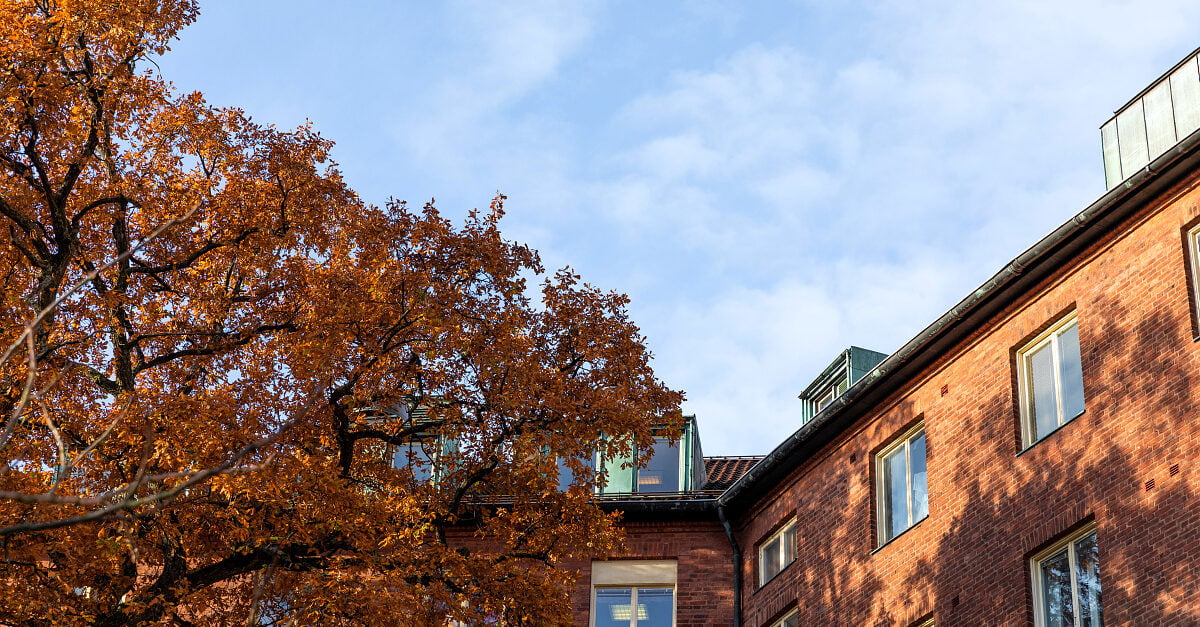 Sahlgrenska universitetssjukhuset