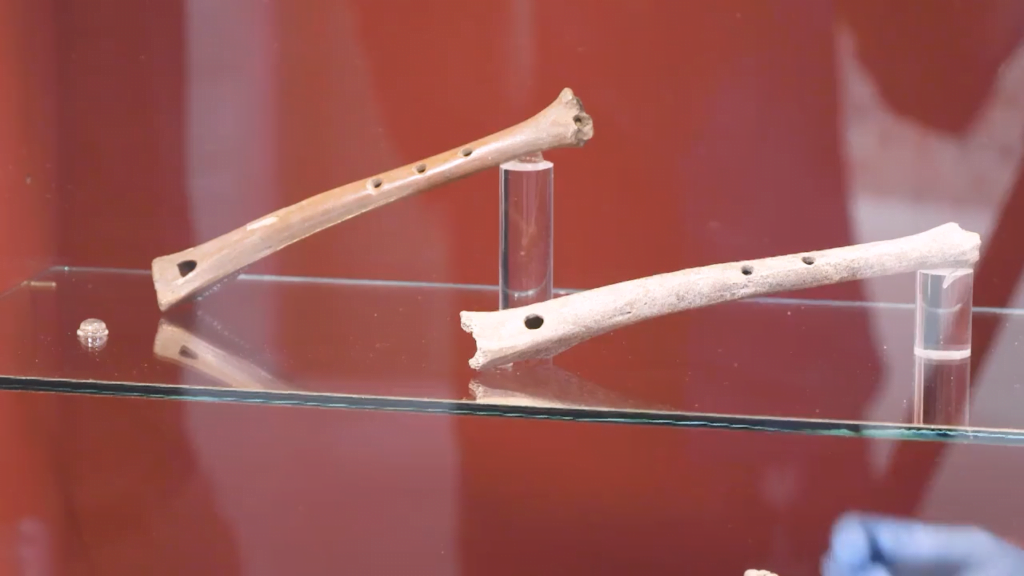 Två flöjtar gjorda av fårben står uppställda i en museeimonter.