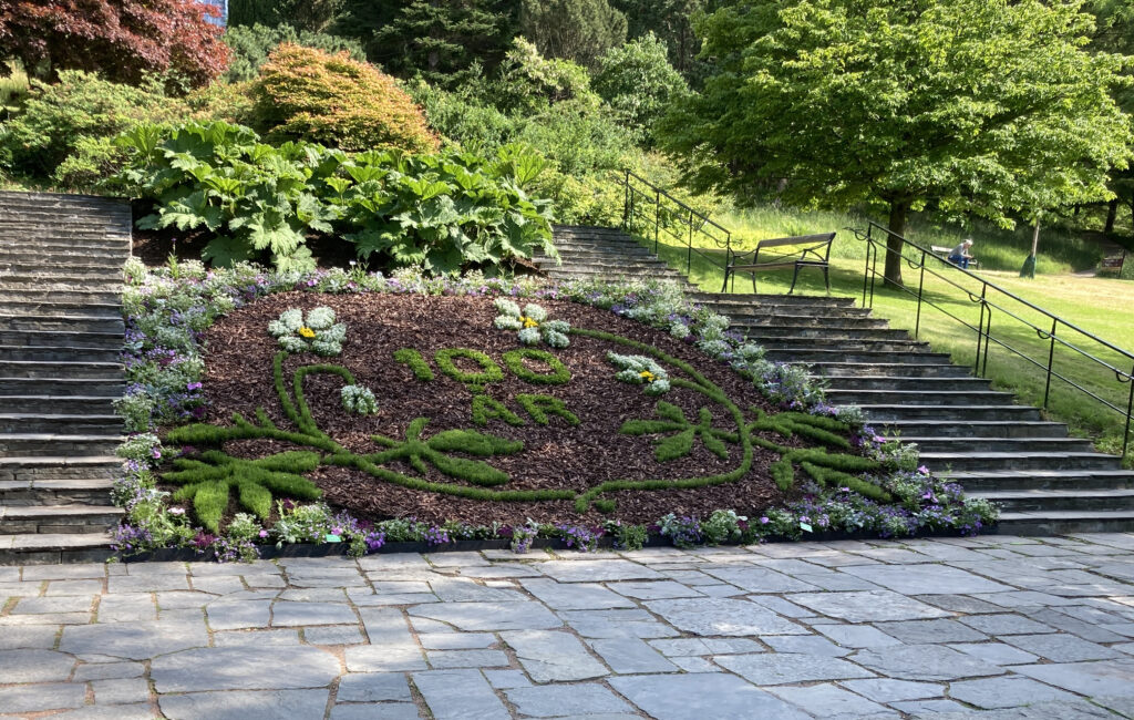 Motivrabatt Botaniska 100 år
