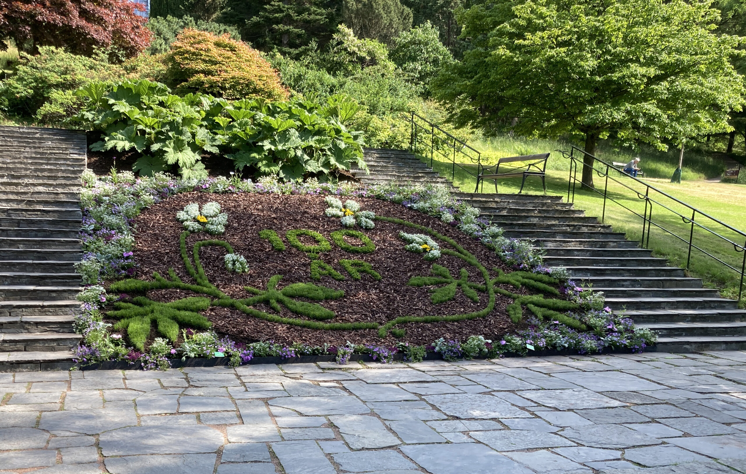 Motivrabatt Botaniska 100 år