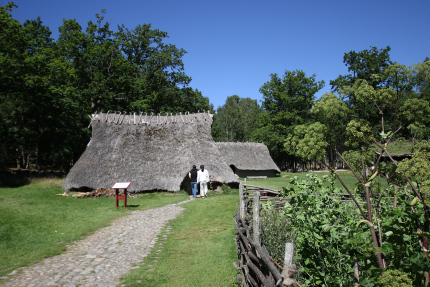 Bronsåldersgården, Vitlycke.