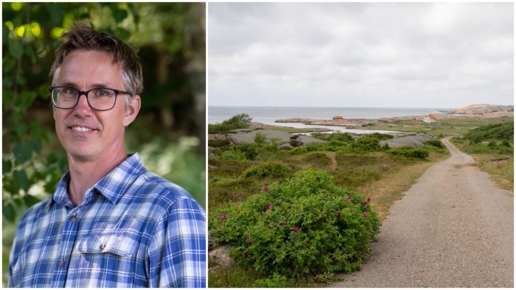 Mattias Lindholm till vänster och Ramsvikslandet med en vresros i föegrunden. Foto: Lisa Sihlberg.